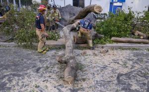 Uragan Irma ostavlja pustoš: Oko 6,5 miliona kuća na Floridi ostalo zatrpano